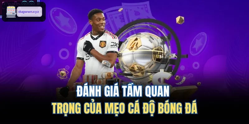 Phân tích tầm quan trọng mẹo cá độ bóng đá