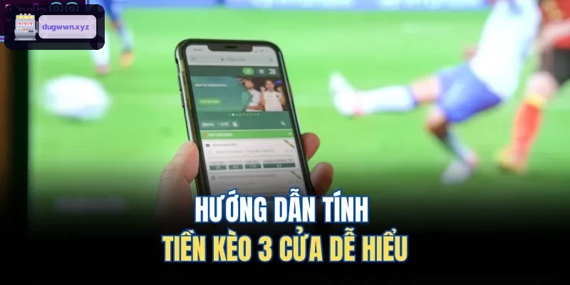 Cách tính tiền kèo 3 cửa dễ dàng